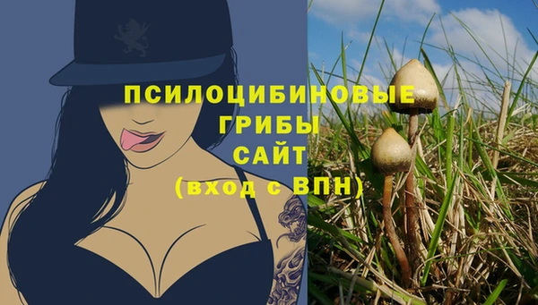 герыч Абаза