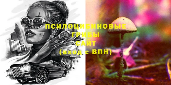 МДПВ Абинск