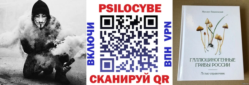 Галлюциногенные грибы Psilocybe  закладки  OMG онион  маркетплейс состав  Полярный 