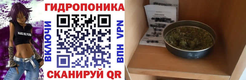 Конопля план  Полярный 